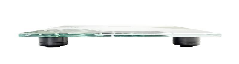 Osobní váha Concept Perfect Health VO2000 MONSTERA 